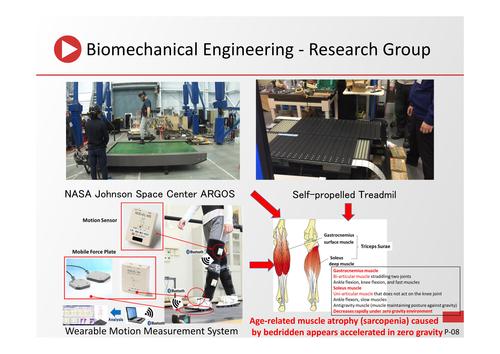 Biomechanical Engineering - Research Group